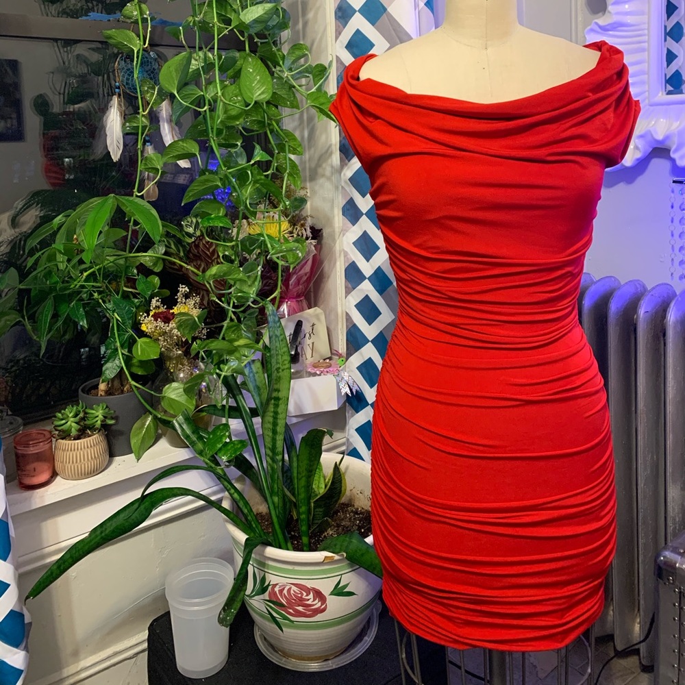 Express Red Dress